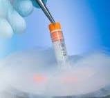egg freezing process