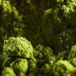 Kratom
