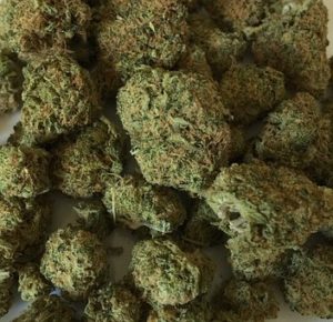 marijuana
