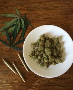 marijuana 2