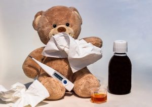 teddy bear 
