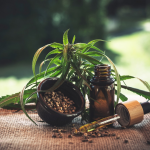 cbd oil