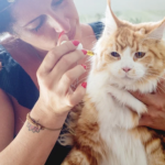 feline